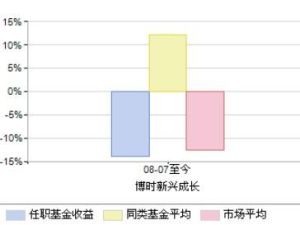 博時新興成長