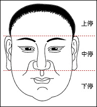 三停的圖片示意圖