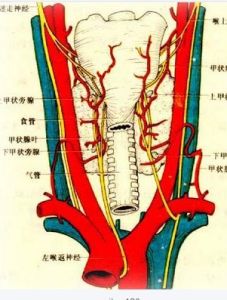 結節性甲狀腺腫