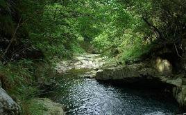 九龍池風景區[山東威海榮城九龍池]