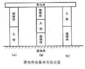 絕緣子[物理元件]