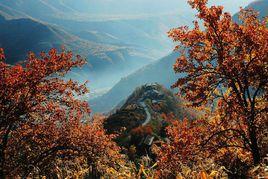 紅葉風景區[陵川縣紅葉風景區]