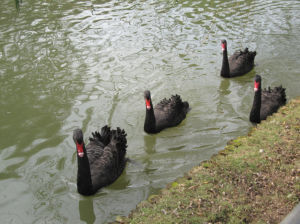 百鳥生態園