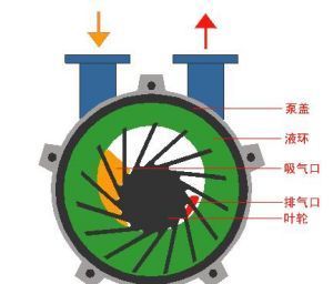 真空泵