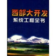 西部大開發系統工程全書