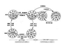 地質大循環與生物小循環