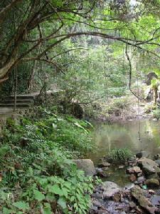 桂山原始森林風景區