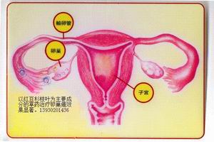 下丘腦性閉經