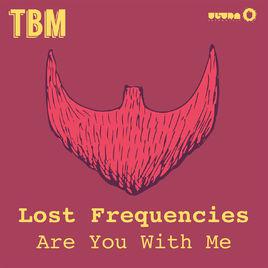 are you with me[Lost Frequencies歌曲]