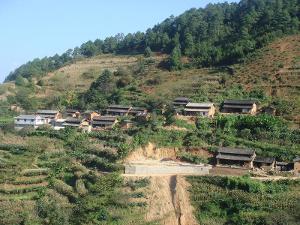 杞家村[雲南楚雄市子午鎮下轄村]