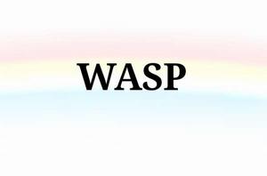 Wasp[美國白人新教徒]