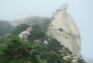 山東省棗莊市市中區龜山旅遊風景區