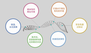 高濃度PN（核苷酸）