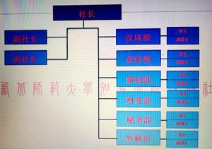 組織結構圖