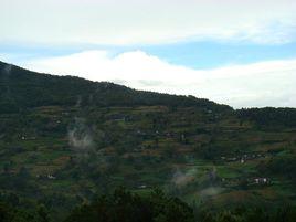 大田自然村[雲南保山昌寧縣柯街鎮仙岳村委會大田自然村]