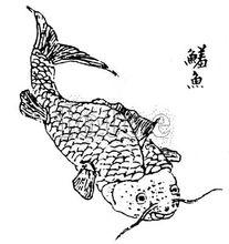 鱃魚