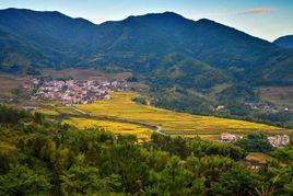 北陶村[山西省永濟市張營鎮下轄村]