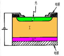 PIN光電二極體