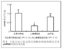 反轉錄酶