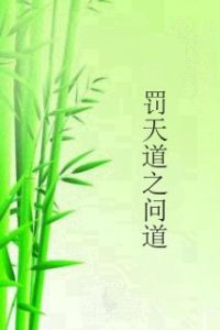 罰天道之問道 罰天道之問道
