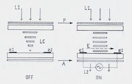 IPS[橫向電場效應顯示技術]