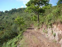 祭龍箐村-進村道路