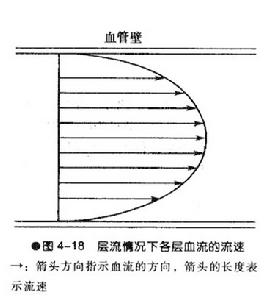 血流切率