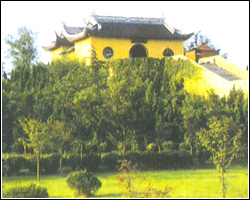 Luzhi