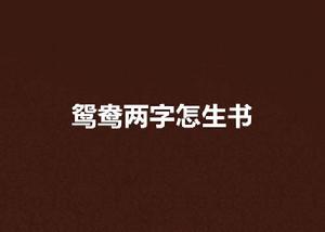 鴛鴦兩字怎生書