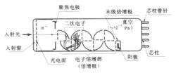 BPCL檢測原理