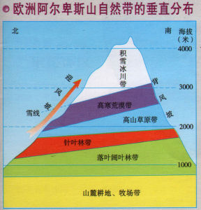 阿爾卑斯山垂直自然帶