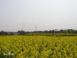 仙石村[湖南省醴陵市浦口鎮仙石村]