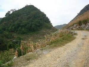 進村道路