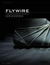 NIKE Flywire