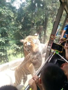 碧峰峽野生動物園