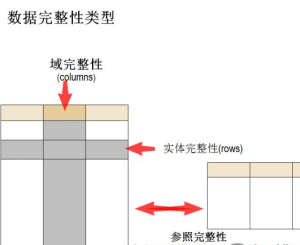 實體完整性