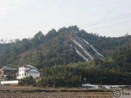 大山腳村[雲南省尋甸縣河口鄉雙龍村委會所轄村]