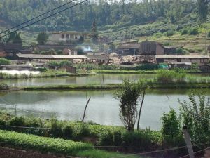 園田房河自然村