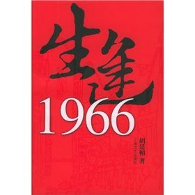 《生逢1966》