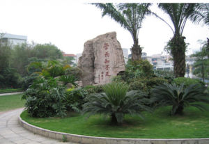 Dongguan University of Technology