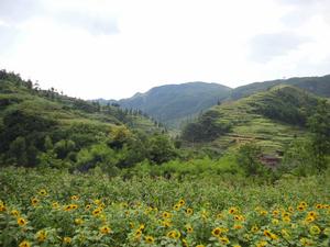 淳樸的鄉村，落坳