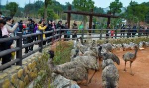 長沙動物園