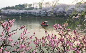 湖南省森林植物園一景