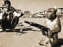 塔利班士兵訓練“猴兵”