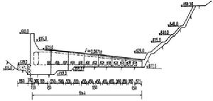 圖2 排沙廊道上游剖視