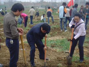 （圖）學生植樹節種樹