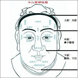 天庭[面相學名詞]