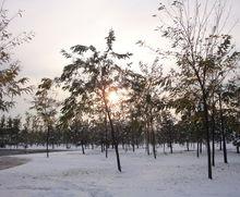 東壩郊野公園