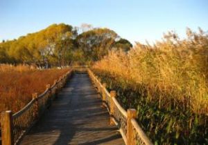 一面坡森林公園