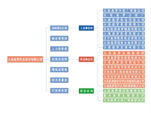 大連美羅藥業股份有限公司